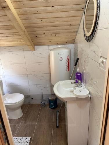 a small bathroom with a sink and a toilet at Bungalow-Guest House Alpina in Vusanje
