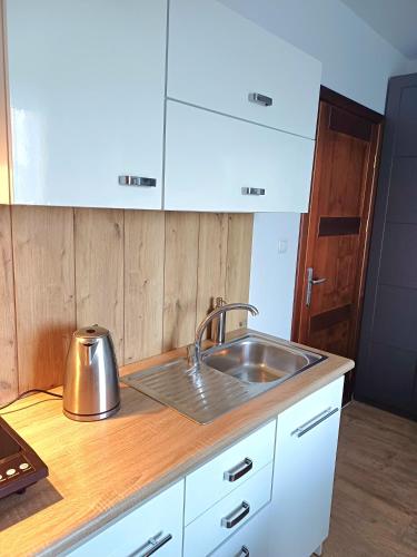 a kitchen with a sink and a counter top at Willa Arkadia w Pucku in Puck
