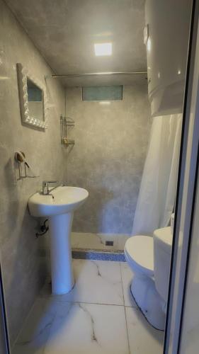 a bathroom with a sink and a toilet at Towers Inn Cottage in Mestia