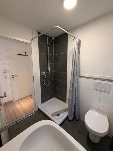 a bathroom with a shower and a toilet and a tub at STAY - Comfort Apartment in Friedrichshafen