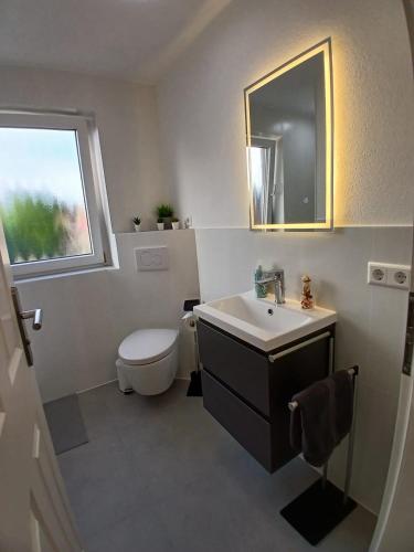 a bathroom with a sink and a toilet and a mirror at City Hub Room 27 - Coffee for free - in Karlsruhe