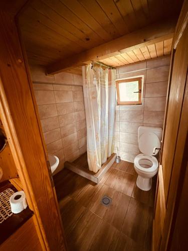 a small bathroom with a toilet and a sink at Vikendica Eldar, Ada Bojana in Ulcinj