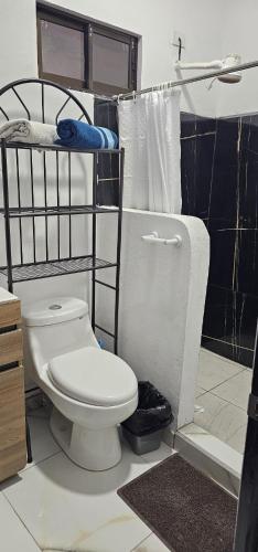 a bathroom with a toilet and a shower at Apartment Torres in Manuel Antonio