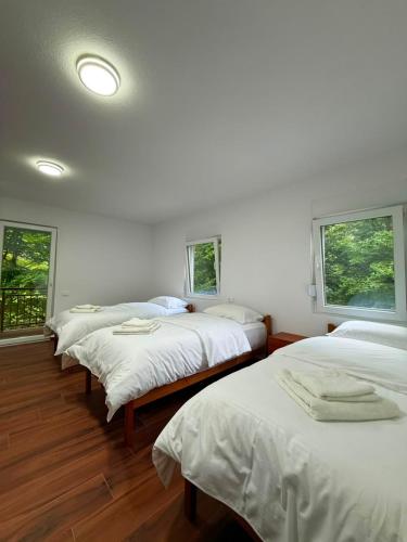 drei Betten in einem Zimmer mit drei Fenstern in der Unterkunft Riverside in Valbonë