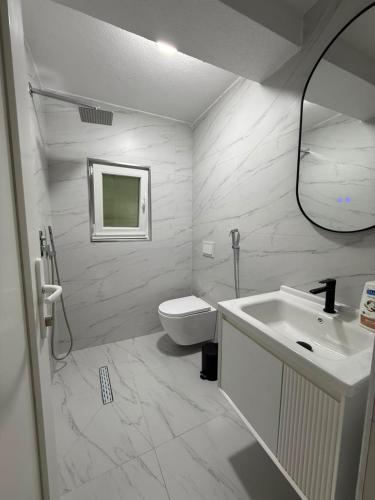ein Badezimmer mit Toilette, Waschbecken und Spiegel in der Unterkunft Riverside in Valbonë