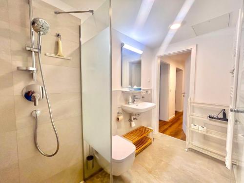 a bathroom with a shower and a toilet and a sink at Jagdhof Apartments am Spitzingsee in Schliersee