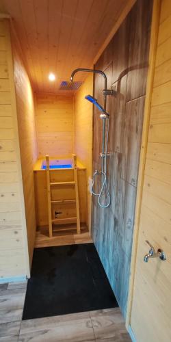 a sauna with a shower and a sink at Tatra Lodge Apartamenty z widokiem na góry in Kościelisko