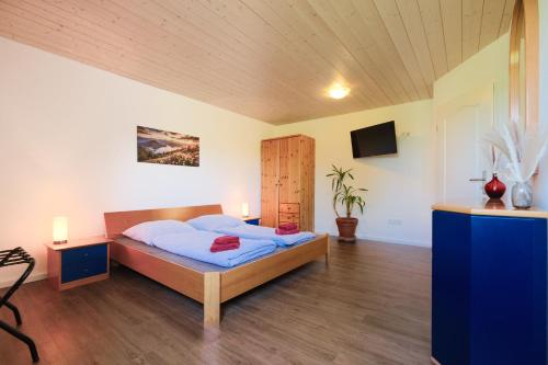 a bedroom with a bed and a tv in it at Landhof Riehlingshöhe in Kißlegg
