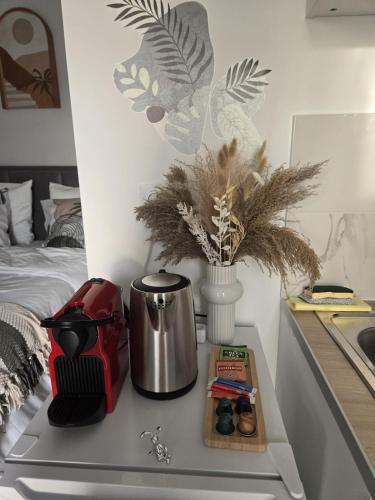 Clim - Green Studio 6 Confort Premium Cosy Hotel -Terrasse