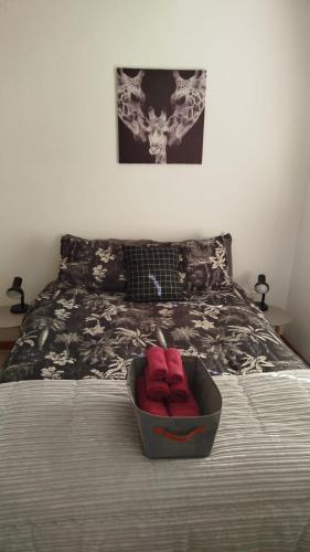 a bed with a bowl with red pillows on it at Leipoldt street 3 in Clanwilliam