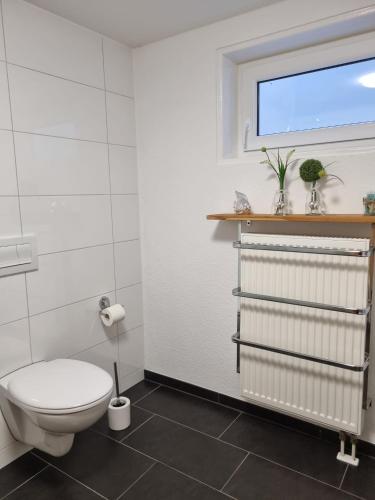 a bathroom with a toilet and a window at Ferienwohnung Lolek in Brilon