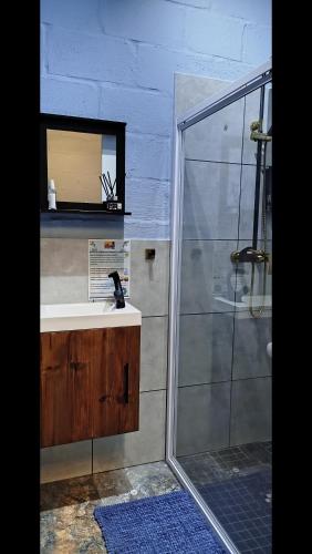 a bathroom with a sink and a shower with a mirror at Leipoldt street 3 in Clanwilliam