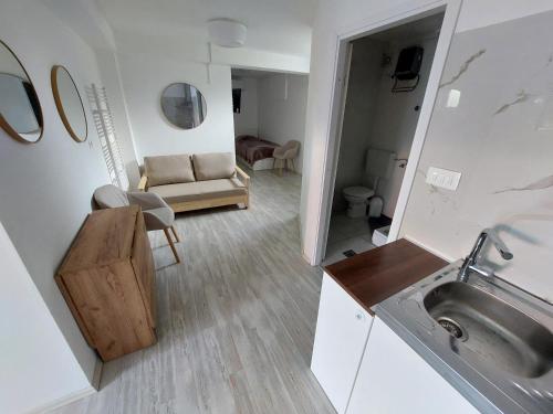 a kitchen and living room with a sink and a couch at Juraj apartman studio in Brdovec