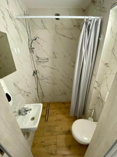 a bathroom with a sink and a shower and a toilet at LKS Charzykowy 4 in Charzykowy