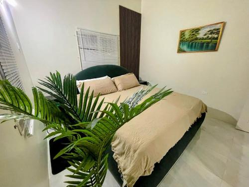 a bedroom with a bed and a green plant at Discovery Bay Villa and Beach Club in Discovery Bay