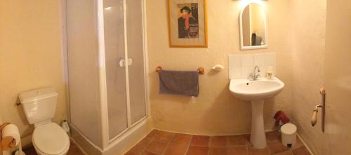 a bathroom with a shower and a toilet and a sink at Gîte de la Garriguette in Rasteau
