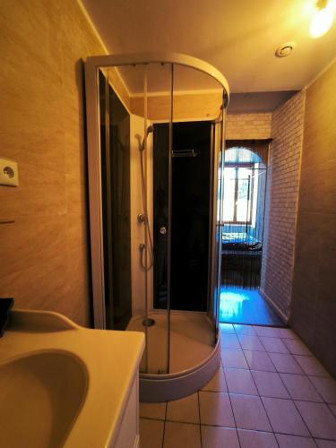 a bathroom with a shower and a sink at La Chambres des Secrets in Vierzon