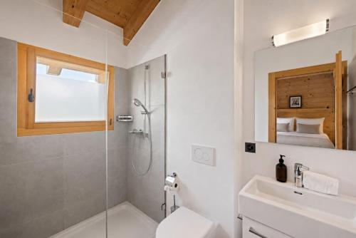 a bathroom with a shower and a toilet and a sink at Chalet Aramis in Riddes