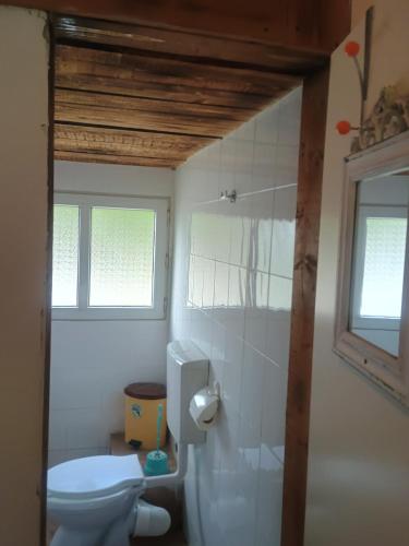 a bathroom with a toilet and a window at Nautic Colibița in Colibiţa