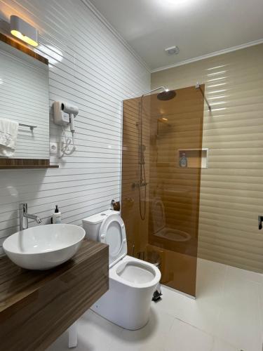 a bathroom with a toilet and a sink and a shower at Gorna Kukja Apartments in Demir Hisar