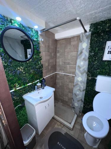 a bathroom with a toilet and a sink and a mirror at Apartman Podroom in Kraljevo