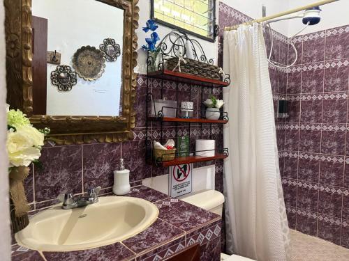 a bathroom with a sink and a mirror at Ataco Cabin Views Breakfast and Coffee in Tacuba