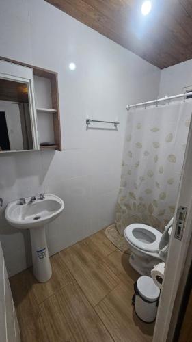 a bathroom with a toilet and a sink at Hospedaje J & L in Uspallata