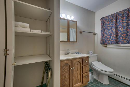 a bathroom with a toilet and a sink at A Western Rose in Cody