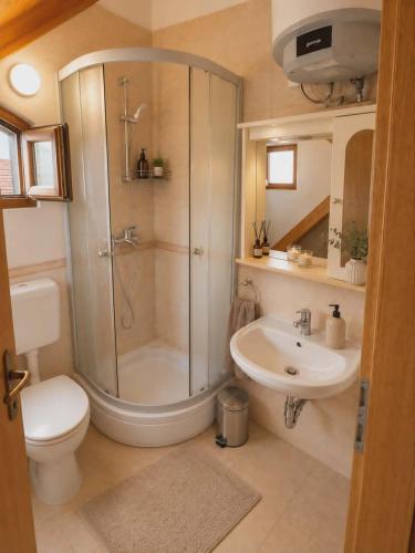 a bathroom with a shower and a toilet and a sink at Guest House Emilio 1 in Split