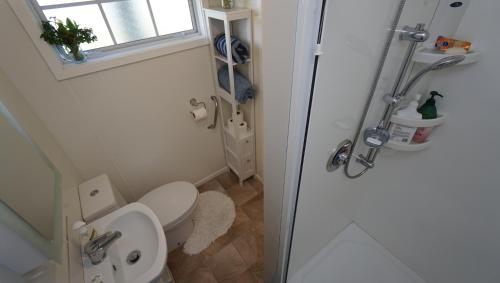 a bathroom with a toilet and a window and a shower at Hideaway Beach Cottage in Curio Bay