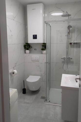 a bathroom with a shower and a toilet and a sink at Apartments by the sea Postira, Brac - 9241 in Postira