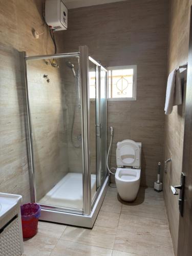 a bathroom with a shower and a toilet at Zamin Suites in Kano