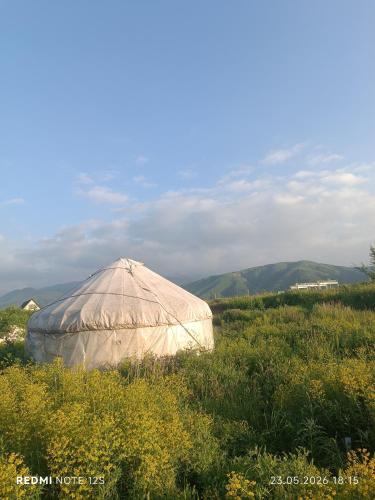 a large tent in the middle of a field at KochevniK in Almaty