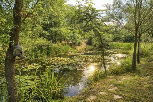 a pond with lily pads in a field with trees at Vila Lokvanj in Gornja Vranjska