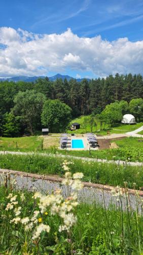 a view of a field with a pool and trees at Nomad Lake Cabins in Rugineşti