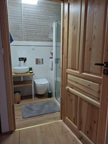 a bathroom with a shower and a toilet and a sink at Sielanka na Kociewiu in Skrzynia