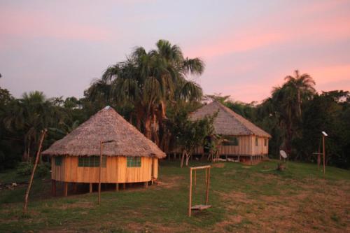 a group of huts in a field with palm trees at Hostal Maguare-Reserva Indígena Maguare in Leticia