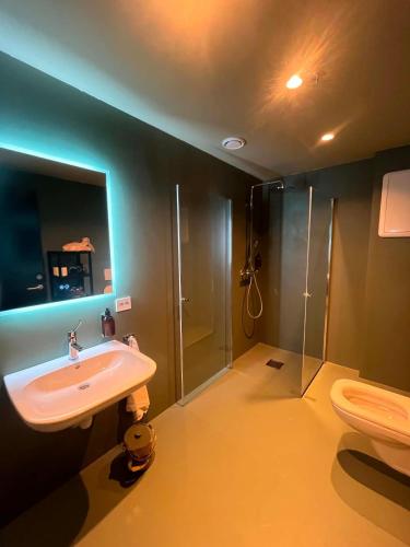 a bathroom with a sink and a shower and a toilet at Hauane Bed and Breakfast in Sandnes