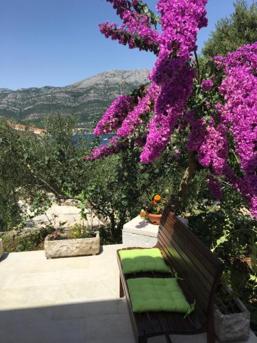 a bench in front of a tree with purple flowers at Apartments Laura in Korčula