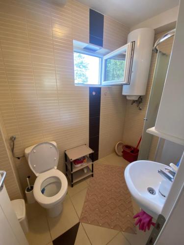 a small bathroom with a toilet and a sink at APARTMAN SEVEN free parking in Gornja Toplica
