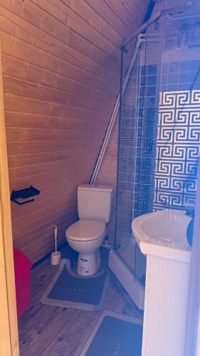 a small bathroom with a toilet and a sink at Căsuța Casper in Tudora