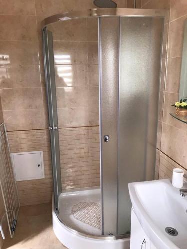 a shower with a glass door next to a sink at Lake House in Svityazʼ