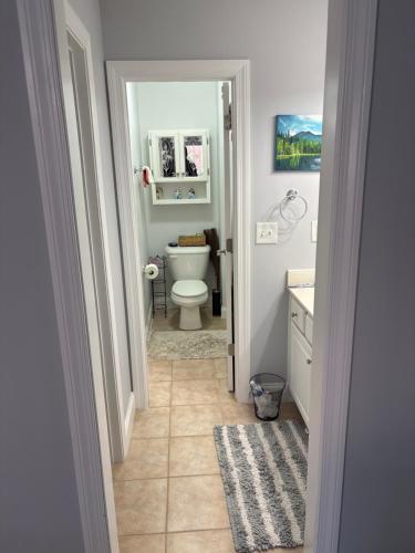 a bathroom with a white toilet and a sink at Karibuni Braselton in Braselton