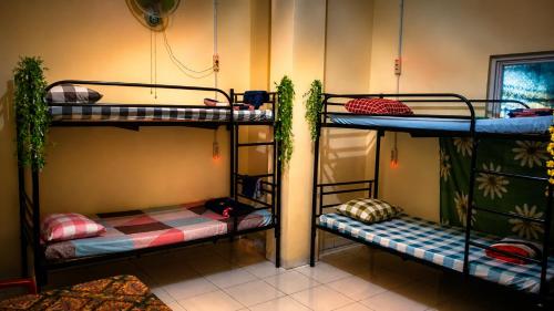 a room with three bunk beds in it at Medan Dazhong Backpacker's Hostel in Medan