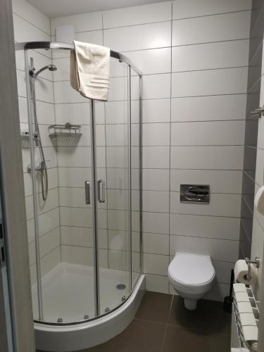 a bathroom with a shower and a toilet at Leon's Rooms in Żary