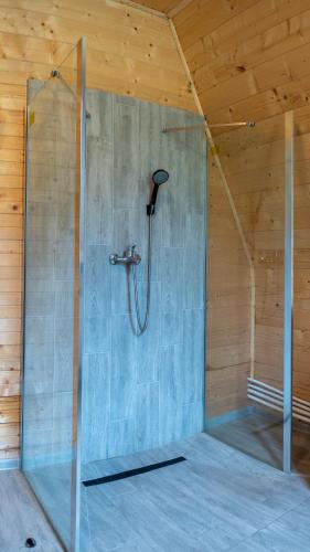 a shower in a room with a glass wall at Escape Remeti - Aframe by the River in Remeţi