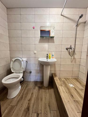 a bathroom with a toilet and a sink at Serce Kanyonu in Kamianets-Podilskyi
