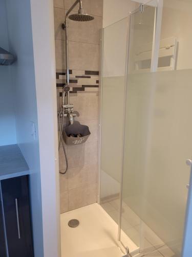 a shower with a glass door in a bathroom at Studio cosy Climatisation, terrasse privée, parking devant la maison in Nevers