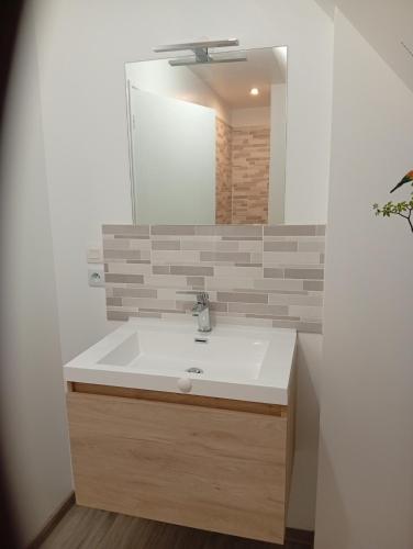 a bathroom with a sink and a mirror at Chambre familiale in Voutré