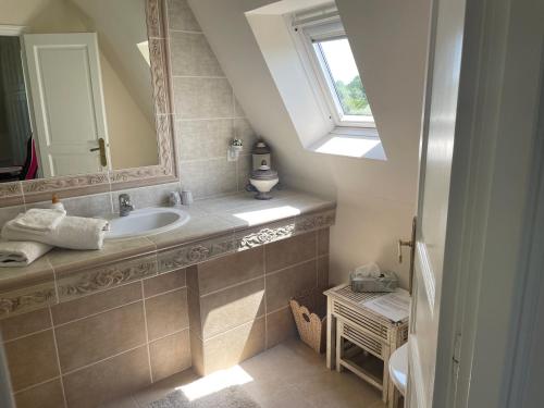 a bathroom with a sink and a mirror at L'Oisette in Epiniac
